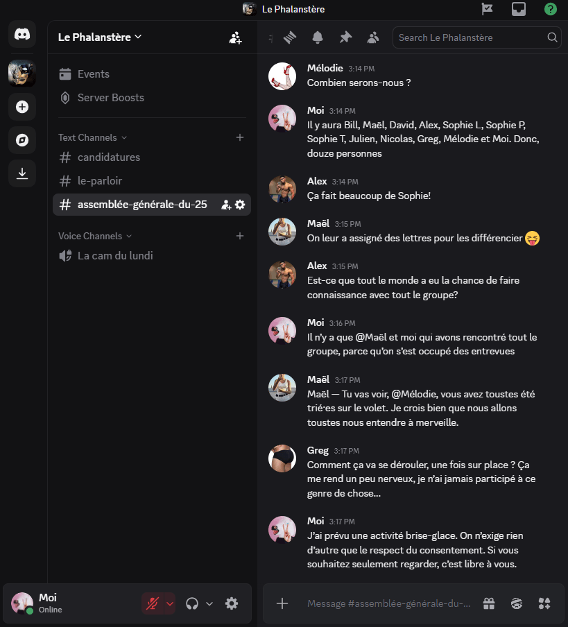 Mélodie — Combien serons-nous ?
Moi — Il y aura Bill, Maël, David, Alex, Sophie L, Sophie P, Sophie T, Julien, Nicolas, Greg, Mélodie et Moi. Donc, douze personnes
Alex — Ça fait beaucoup de Sophie!
Maël — On leur a assigné des lettres pour les différencier
Alex — Est-ce que tout le monde a eu la chance de faire connaissance avec tout le groupe ?
Moi — Il n’y a que Maël et moi qui avons rencontré tout le groupe, parce qu’on s’est occupé des entrevues
Maël — Tu vas voir, @Mélodie, vous avez toustes été trié·es sur le volet. Je crois bien que nous allons toustes nous entendre à merveille.
Greg — Comment ça va se dérouler, une fois sur place ? Ça me rend un peu nerveux, je n’ai jamais participé à ce genre de chose…
Moi — J’ai prévu une activité brise-glace. On n’exige rien d’autre que le respect du consentement. Si vous souhaitez seulement regarder, c’est libre à vous.
