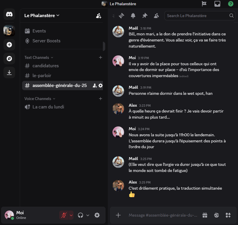 Maël — Bill, mon mari, a le don de prendre l’initiative dans ce genre d’événement. Vous allez voir, ça va se faire très naturellement.
Moi — Il va y avoir de la place pour tous celleux qui ont envie de dormir sur place – d’où l’importance des couvertures imperméables
Maël — Personne n’aime dormir dans le wet spot, han
Mélodie — À quelle heure ça devrait finir ? Je vais devoir partir à minuit au plus tard…
Moi — Nous avons la suite jusqu’à 11h00 le lendemain. L’assemblée durera jusqu’à l’épuisement des points à l’ordre du jour
Maël — (Elle veut dire que l’orgie va durer jusqu’à ce que tout le monde soit tombé de fatigue)
Alex — C’est drôlement pratique, la traduction simultanée
